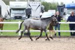SBM_19033