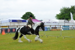 SBM_00927