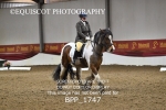 BPP_1747