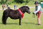 SIAL6108
