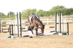 SBM_027015
