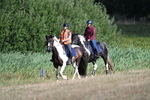 WJ7_3028