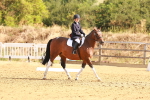 SBM_000342