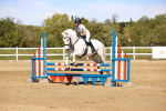 SBM_002648