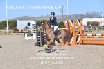 BPP_6210