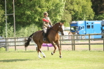 SBM_10285