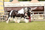 SBM_08776