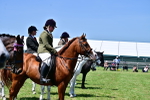 SBM_17427