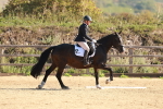 SBM_009878