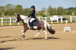 SBM_006180