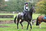 WJ6_9696