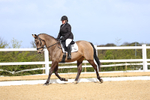 Class 3: Novice 5 2024 portfolio