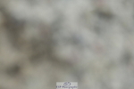 230326A-103850-00404