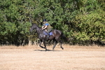 WJ6_6784