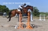 BPP_8295
