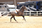 SBM_001725