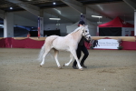 SBM_00267
