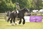 SBM_15961