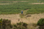 Lowther-16
