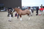 SBM_006186