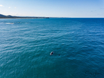Humpbacks off Bogangar