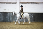 SBM_008944