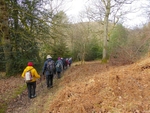 011  Descent throughLow Wood