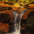 Autumn Fall