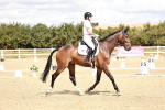 SBM_009847