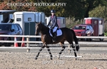 BPP_9338