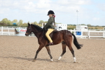 SBM_23135