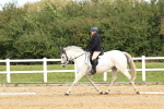 SBM_001561