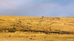 IMG_1227 Maasai Mara