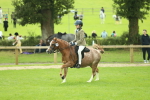 SBM_44678