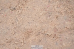 260516-160122-00789