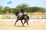 SBM_009915