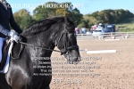 BPP_9118