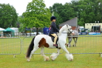 SBM_00887