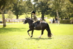SBM_42283