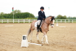 SBM_006427