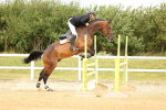 SBM_010161