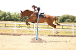 SBM_000982