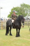 Class 78-80 - Ridden M&M Non Welsh Ponies portfolio