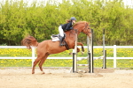 SBM_005387