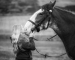 DGClydesdales portfolio