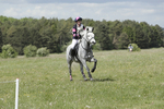 BVHT 140517  NXC -273