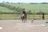 BPP_0033