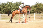 SBM_000719