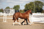SBM_23411