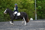 WJ5_9039